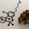 Cannabis THC model