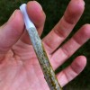 cannabis joint