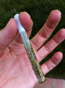 mmjjoint