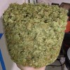Herbal cannabis