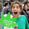 Legalise marijuana Uruguay